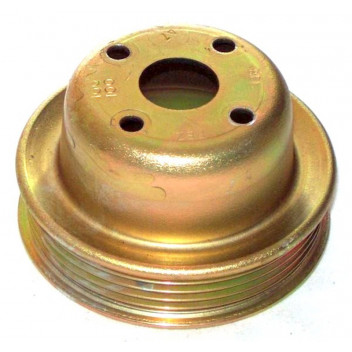 Image for Pulley - Water Pump (Poly-Vee) MPi (1996-2000)